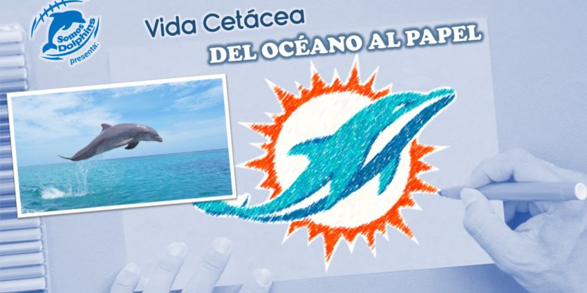 30 Junio 2021 Somos Dolphins