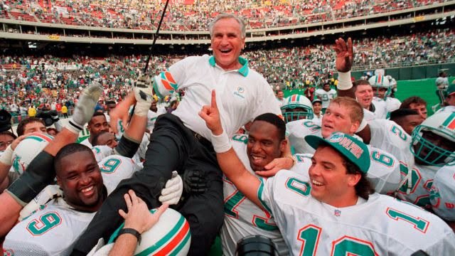 partido de los dolphins