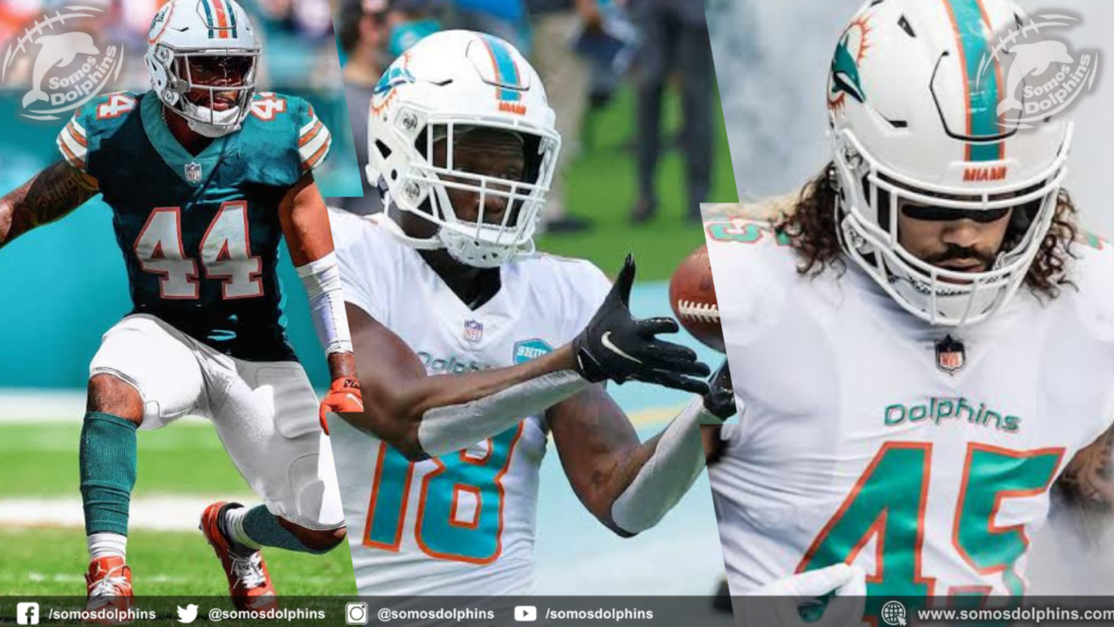 Dolphins Printable Pages