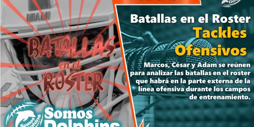 24 Junio 2022 Somos Dolphins