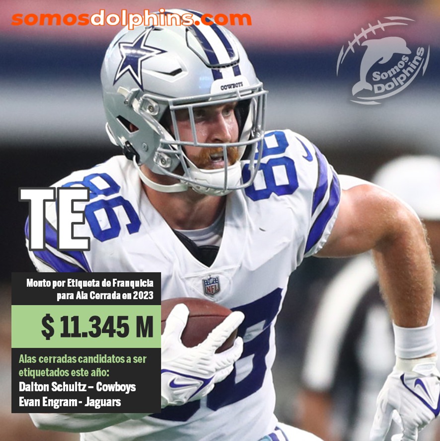 NFL Free Agency, Agencia Libre, Tight End, Alas Cerradas, Dalton Schultz, Evan Ingram 