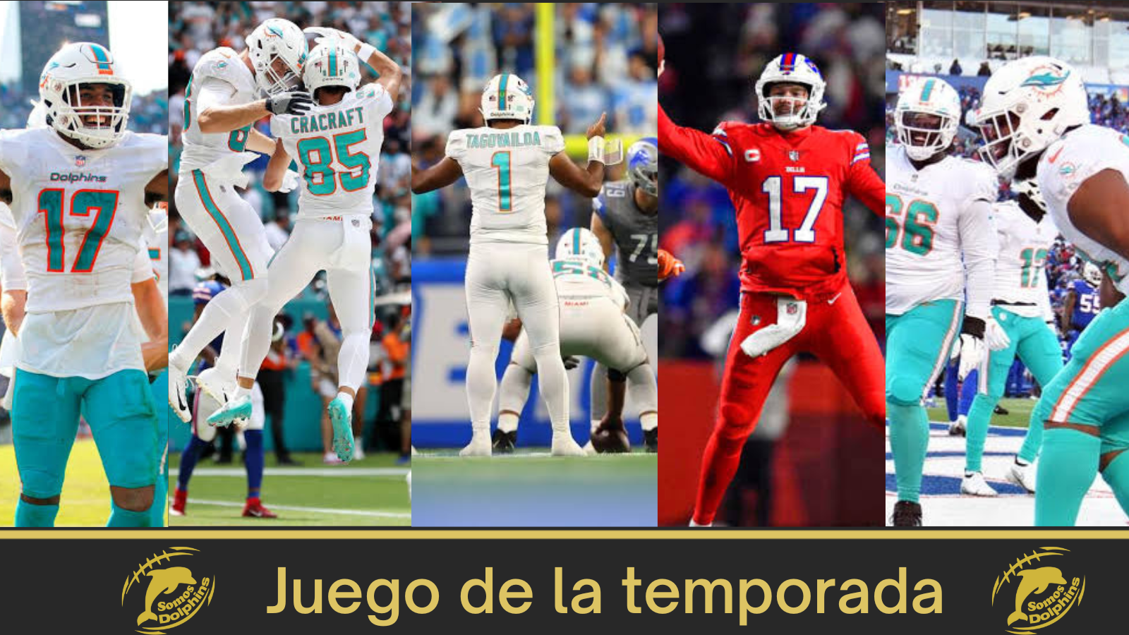 Play of the year Miami Dolphins 2022. Dolphins vs Ravens, Dolphins vs Bills, Dolphins vs Lions, Bills vs Dolphins, Wildcard Game: Bills vs Dolphins 