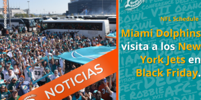 Miami Dolphins, NFL New York Jets, Met Life Take Over, MIAVSNYJ, Black Friday Game, AFC East